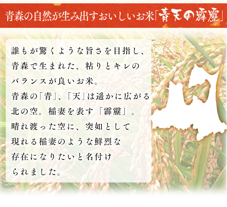 低温製法米のおいしいごはん青森県産青天の霹靂150g×24パックパックご飯パックごはんレトルトご飯レトルトごはんご飯パックごはんパックインスタントアイリスフーズ