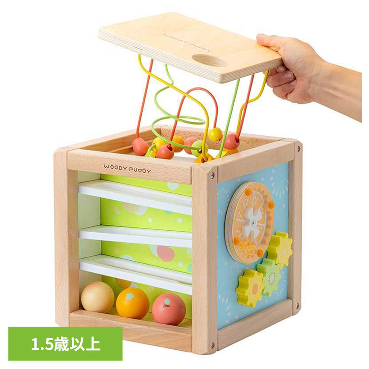 おもちゃ 子ども用おもちゃ プレゼント あそびたっぷり フルーツアクティビティボックス 木のおもちゃ お誕生日 プレゼント ギフト 知育玩具 安心 安全 出産祝い フルーツ ST適合玩具 ウッディプッディ 【B】