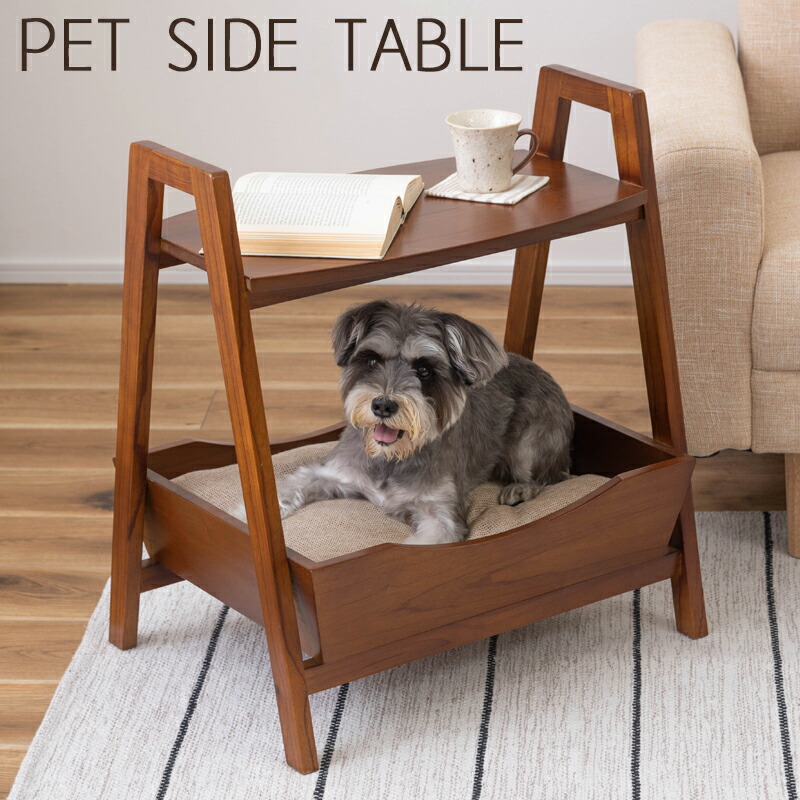 pet-67.jpg
