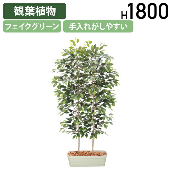 【法人宛限定】ベンジャミンパーテーション W1000 D800 H1800 オフィスアクセサリー 備品 フェイクグリーン 人工観葉植物 観葉植物 フェイク 人工 造花 光触媒 鉢 植木 葉 枝 観葉樹 室内 木 店舗 インテリア 玄関 リビング 衛生的 事務 オフィス 受注生産 HBY-BJP-18 64,675円