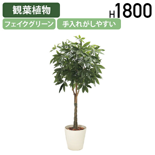 【法人宛押さえる】パキラ W900 D900 H1800 事務室付属物 備え付け フェイクグリーン 人工観葉草木 観葉草木 まがい物 人工 造花 光触媒 鉢 植木 葉 枝 観葉樹 室内 木 バス発着場 室内装飾 部屋の入り口 リビング せっ生的 分かりやすい 事務 事務室 受注生み出すこと HBY-PCR-18