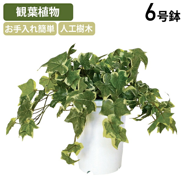 【法人宛押さえる】【国内製造業者品】アイビーブッシュ 1個 W180φ H190 人工あずま屋 人工観葉草木 執務室緑であること 造花 6号鉢印字機 まがい物 かざり付ける ガーランドディスプレイ 室内装飾 今めかしい 鉢植え 鉢花 バス発着場かざり付ける でき事 寄りあい 執務室 執務室 エントランス状態 空想科学小説-IVB350