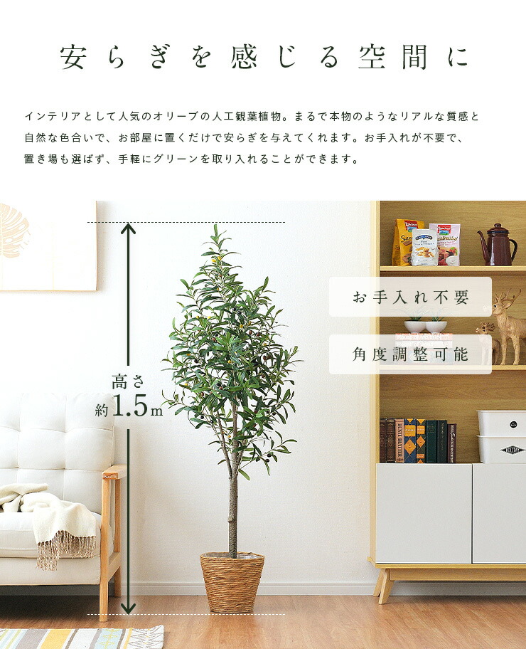 楽天市場 割引クーポン配布中 人工観葉植物 フェイクグリーン Olive オリーブ Grn 17 H152cm 人工植物 観葉植物 おしゃれ フェイク 造花 大型 グリーン オリーブの木 インテリア 家具のわくわくランド 楽天市場店