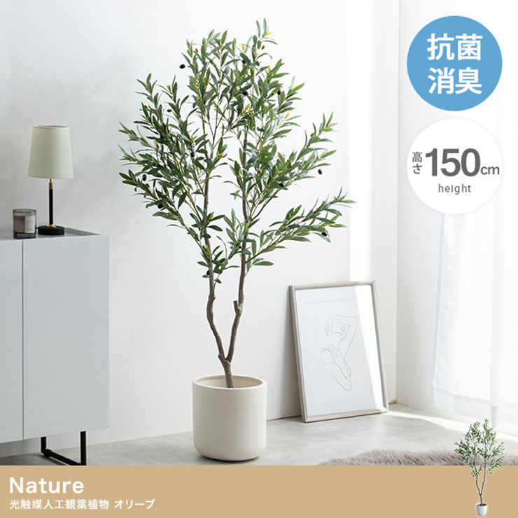 【ポイント8倍!今晩20時開始】フェイクグリーン 観葉植物 大型 高さ150cm 光触媒 人工観葉植物 オリーブ Nature(ナチュレ) フェイク グリーン リアル 造花 おしゃれ インテリア 抗菌 消臭 植木 リビング 室内 オフィス お祝い