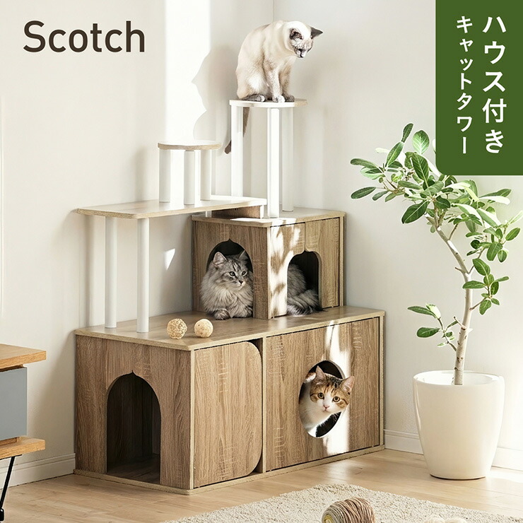 取り合わせ臥榻特集