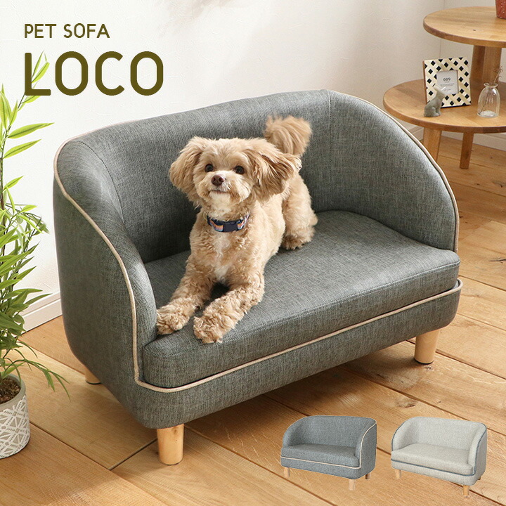 国内配送 脚取り外し可 ペット用 ソファ Loco ロコ 2色対応 ソファー 犬用 猫用 Pvc 合皮 ベッド ペットベッド 猫 犬 ペット ペット用 ペットグッズ ペット用品 猫ベッド 犬ベッド かわいい 全商品オープニング価格特別価格 Neweurasia Info