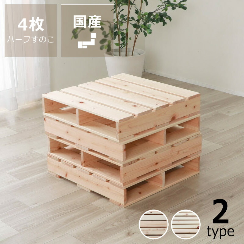 \"成年者の仕立て上げる \"" ねじって作る「枯れない盆栽」"