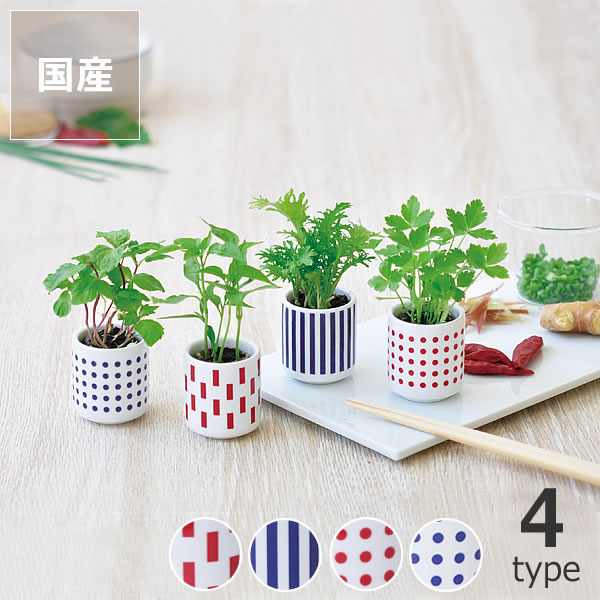 楽天市場 観葉植物 おちょこで薬味栽培セット 栽培キット ガーデニング 野菜 室内 ミニサイズ インテリアなら 家具の里