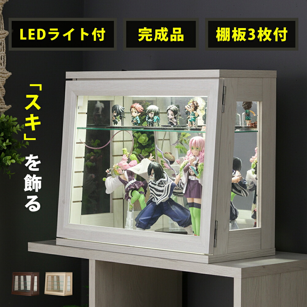 楽天市場】＼本日ポイント5倍／卓上 コレクションケース 横長型 縦長型