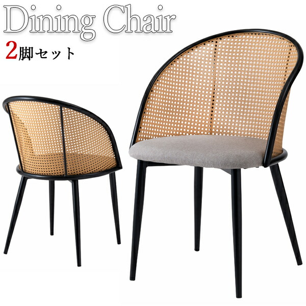 【送料無料】 2脚セット ダイニングチェア カフェチェア 食事 デスクチェア ラタン調 ポリプロピレン スチール脚 ファブリック 布地 シンプル モダン AZ-1077｜カグロー店