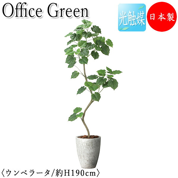 【送料無料】 【日本製/業務用】 フェイクグリーン ウンベラータ オフィスグリーン 光触媒 人工観葉植物 人工樹木 造花 鉢植え 床置き型 高さ約190cm 緑 オフィス緑化 GF-0001|カグロー店