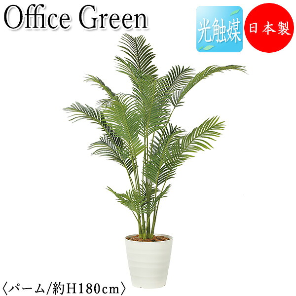【送料無料】 【日本製/業務用】 フェイクグリーン パーム オフィスグリーン 光触媒 人工観葉植物 人工樹木 造花 鉢植え 床置き型 高さ約180cm 緑 オフィス緑化 GF-0025