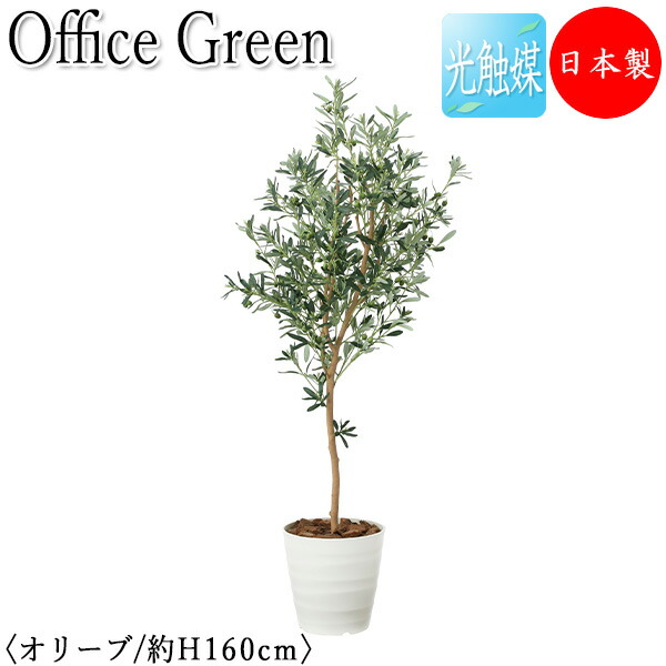 【送料無料】 【日本製/業務用】 フェイクグリーン オリーブ オフィスグリーン 光触媒 人工観葉植物 人工樹木 造花 鉢植え 床置き型 高さ約160cm 天然木 緑 オフィス緑化 GF-0038