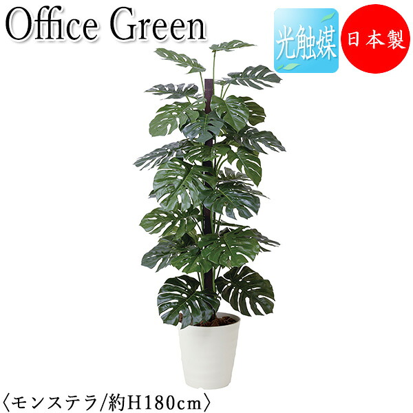 【送料無料】 【日本製/業務用】 フェイクグリーン モンステラ オフィスグリーン 光触媒 人工観葉植物 人工樹木 造花 鉢植え 床置き型 高さ約180cm 天然木 緑 オフィス緑化 GF-0040