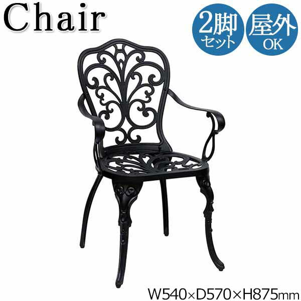 【送料無料】 2脚セット 屋外用 チェア 肘付 アルミチェア カフェチェア ガーデン アウトドア 屋外 幅54cm 座高42cm ダイキャスト 透かし模様 ブラック SS-0014｜カグロー店