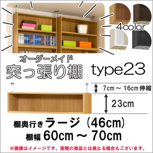 （百貨店大売り出し ）突っ張り棚（判定基準）幅60～70 奥46用 Type23 高さ30～39糎 購入注文仕合わせ 仕合わせが大きさ購入注文できる 納める 木製 大静電容量 薄型 省あき場所・納める調度品 本納める 2段 納める棚 書物棚 色つやボックス席 棚 日本製 新生きて行く