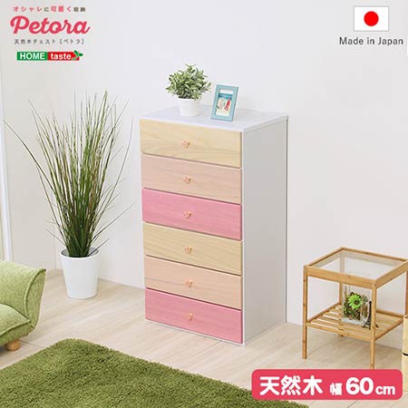 整理タンス チェスト 衣装チェスト 衣類タンス 押入れタンス チェスト リビング 収納引き出し 衣装収納 チェストタンス チェストラック 整理タンス 服入れ 引き出しケース 引き出し収納 sho-sh-08-ptr60