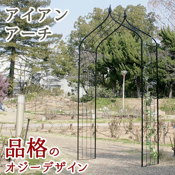 アイアンアーチオジートップ フェンス アイアン ガーデンフェンス ガーデニング 枠 柵 仕切り 目隠し 境目 クラシカル アンティーク トレリス ベランダ つる 薔薇 バラ 朝顔 園芸 ラティス 送料無料 Giet Edu