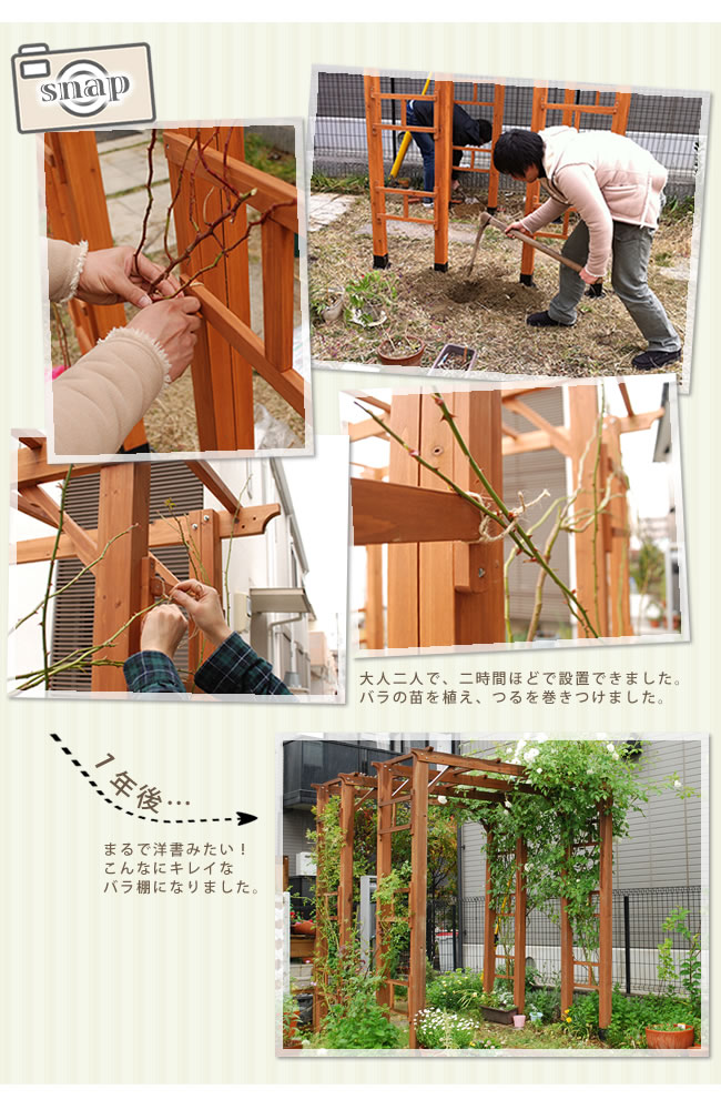 バラ 薔薇 天然木製 薔薇 アーチ 北欧 門 蔦 フェンス 家具 おしゃれ 北欧 ツタ トレリス 朝顔 ナチュラル つた ロマンチック 園芸支柱 ダークブラウン ホワイト Z G06 00 天然木製フレックスパーゴラアーチ190 2台組 平地金具セット アーチ 門 木製 バラ
