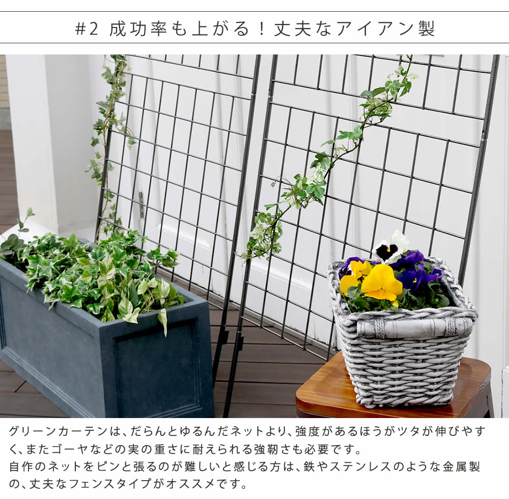 激安 アイアン製グリーンカーテン グラフ 2枚組 フェンス アイアン グリーンカーテン ゴーヤ 薔薇 バラ 朝顔 庭 ベランダ ガーデニング 枠 柵 仕切り 目隠し 境目 アンティーク トレリス 園芸 ラティス 屋外 Www Esrc Work Life Seminars Org
