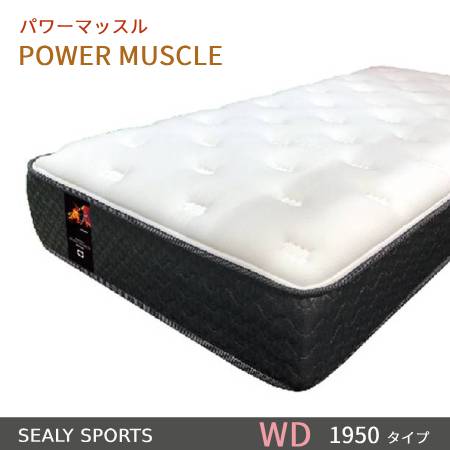 楽天市場】【シーリーベッド正規販売店】 シーリースポーツ スピード