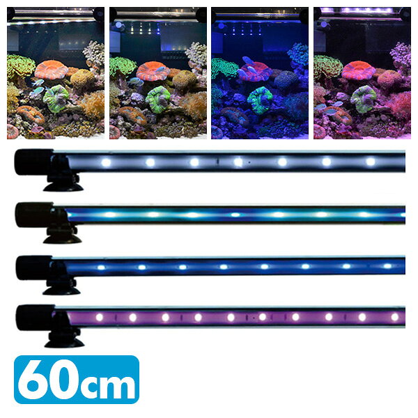 本店は 楽天市場 ゼンスイ アンダーウォーターledスリム 60cm 水槽用照明 Ledライト 鑑賞魚 熱帯魚 アクアリウム アクセサリー 送料無料 ｅ家具スタイル 高質で安価 Lexusoman Com