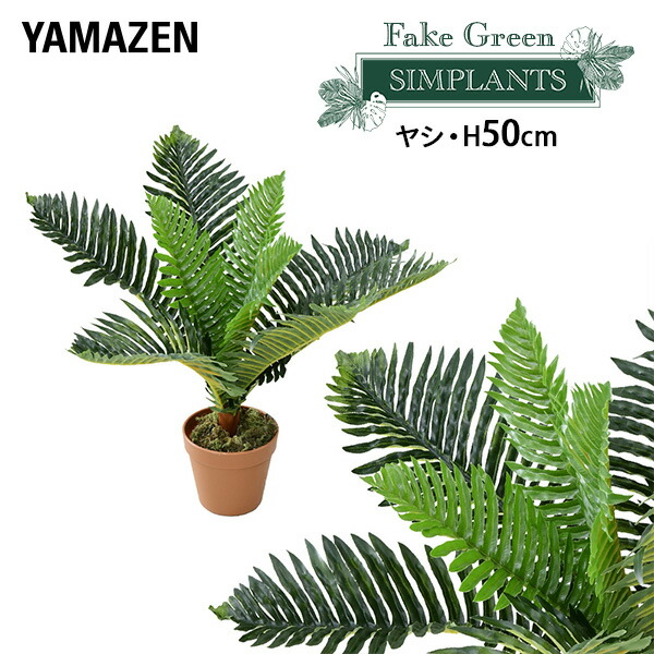 楽天市場】フェイクグリーン ヤシ 高さ50cm FG-ARECA50 人工 グリーン