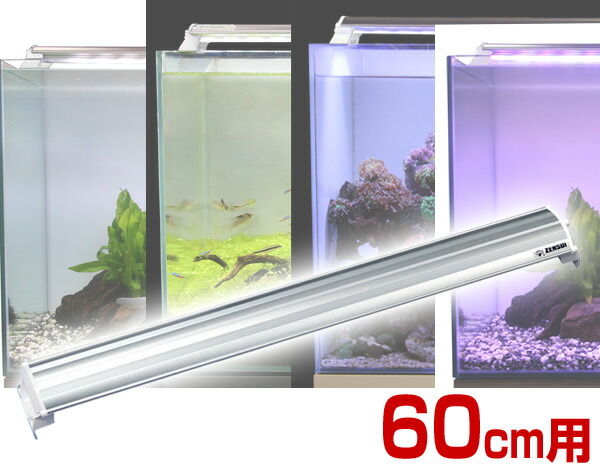 照明 山善 Ledランプ 通販 水槽用 ゼンスイ 水槽用 アクアリウム 60cm 熱帯魚 ライト 水槽用照明 Ledライト 鑑賞魚 アクセサリー 送料無料 ｅ家具スタイル 実物を超えた美しさを演出 水槽用ledランプ 60cm用 送料無料