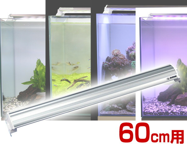 照明 山善 Ledランプ 通販 水槽用 ゼンスイ 水槽用 アクアリウム 60cm 熱帯魚 ライト 水槽用照明 Ledライト 鑑賞魚 アクセサリー 送料無料 e家具スタイル 実物を超えた美しさを演出 水槽用ledランプ 60cm用 送料無料 照明 山善 Ledランプ 通販 水槽用 ゼンスイ 水槽用 アクアリウム 60cm 熱帯魚 ライト 水槽用照明 Ledライト 鑑賞魚 アクセサリー 送料無料 e家具スタイル 実物を超えた美しさを演出 水槽用ledランプ 60cm用 送料無料