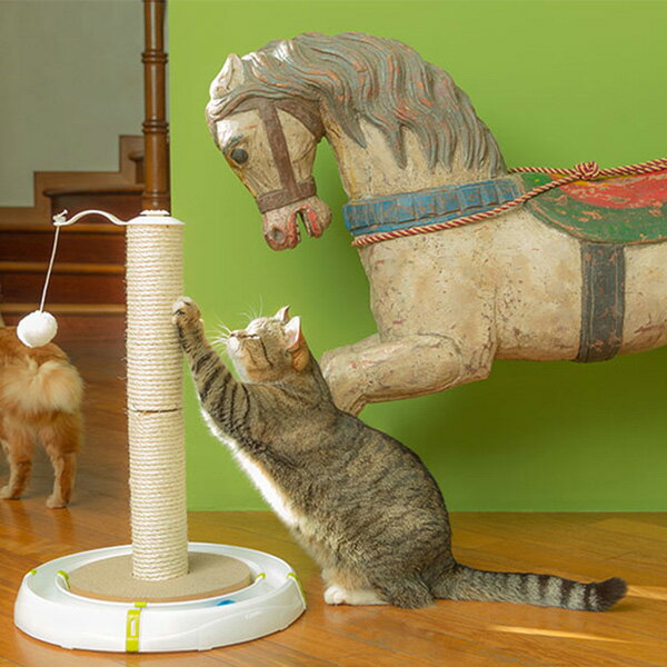 猫用おもちゃ ファンタジーワールド ファンタジーワールド 猫用品 ねこ 猫 ネコ ペット用おもちゃ 猫じゃらし マジックタワー 狩猟本能を刺激する猫用アクティブおもちゃ ストレス解消 送料無料 おもちゃ ボール くるくる 玩具 サーキット 遊ぶ 小型犬 猫用おもちゃ ファンタジーワールド ファンタジーワールド 猫用品 ねこ 猫 ネコ ペット用おもちゃ 猫じゃらし マジックタワー 狩猟本能を刺激する猫用アクティブおもちゃ ストレス解消 送料無料 おもちゃ ボール くるくる 玩具 サーキット 遊ぶ 小型犬