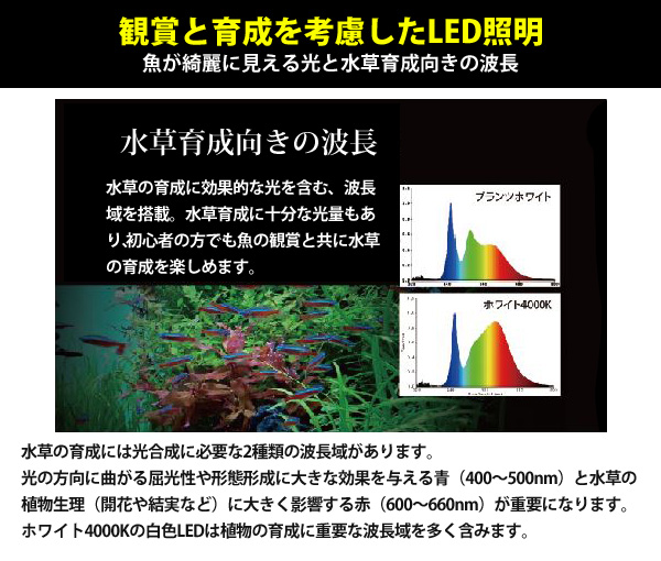 即発送可能 水槽用 照明 ライト マルチカラーled 10 3600lm 48w 水槽用照明 Ledライト 鑑賞魚 熱帯魚 アクアリウム アクセサリー ゼンスイ 代引き手数料無料 Www T9nia Com