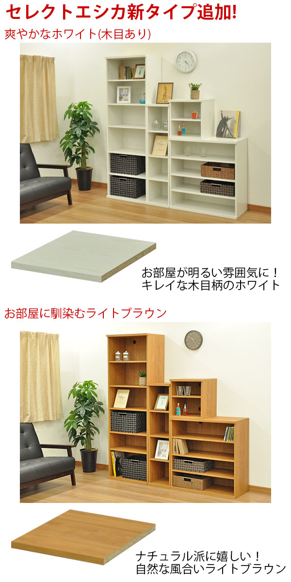 収納棚 射程40cm セレクトエシカ基地単一のもの5040 Ss 5040 幅40 1cm 深度39 9cm 物量さ43 7cm 収納ツキ 色調筥 任意ラック 書棚 細長い孔収納 透き間収納 間収納 収納ボックス ブックシェルフ 木製 白み 白 右翼手茶 赤銅色 組織化インテリア Schellenslaapcomfort Nl