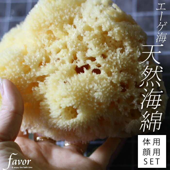 マラソン4倍日｜ 『 天然海綿セット 』 エーゲ海産 ボディースポンジ からだ用 ボディ用 顔用 フェイス用 セット 大きいサイズ 海綿スポンジ 海綿 スポンジ お風呂 風呂 ハニコム種 地中海 乾燥 敏感肌 低刺激 アミノ酸 天然素材 ナチュラル素材 おしゃれ