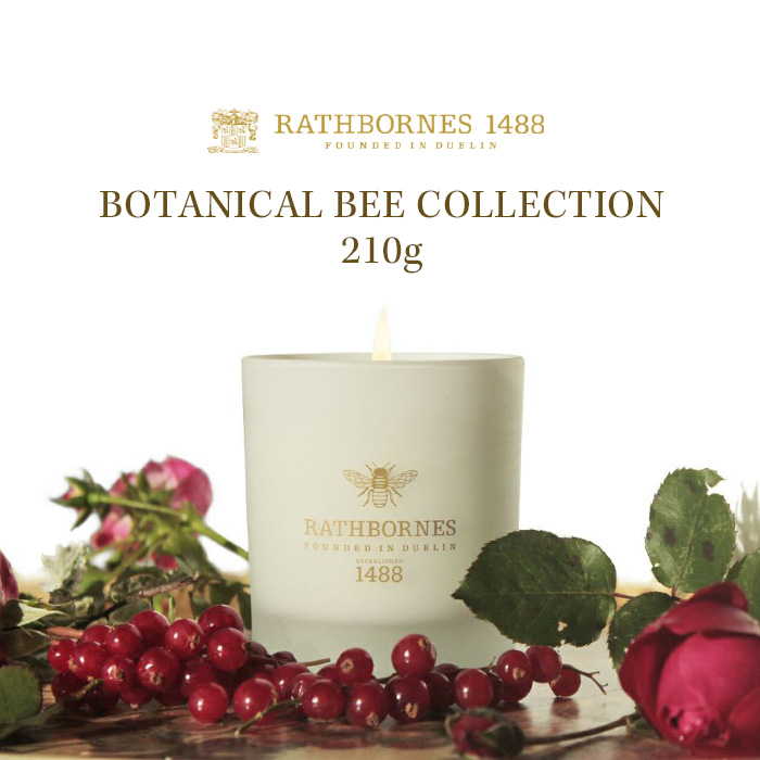 LE LABO SANTAL 26 アロマキャンドル 245g Amazon.com: LE LABO Santal 26 Scented Candle 245 Grams 8.6