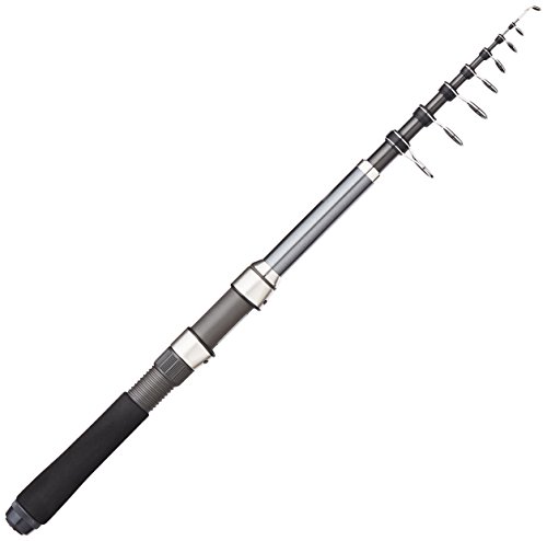 楽天市場】シマノ(SHIMANO) スピニング/ベイト兼用 ロッド 17 ホリデー