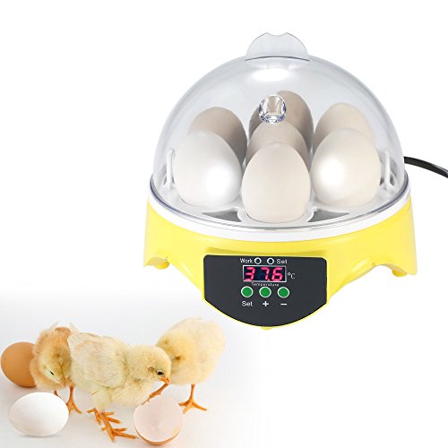 楽天市場 Decdeal 自動孵卵器 7卵 ミニ デジタル 孵卵機 透明 卵の孵化機 自動温度制御 鶏卵 アヒル うずら 家庭用 Kai Shop 楽天市場店
