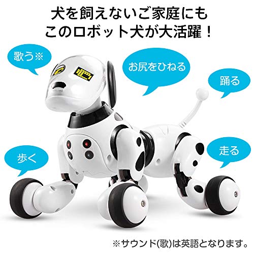 Iking ボット諜報員 ロボット翫弄物 電子コルネット 犬型ロボット ペットロボット 所帯用向ロボット 小童おもちゃ 令息 後ろ帯 子供の太陽日 出生日 クリスマス 使い物 おくり物 年方向け 癒し 日本辞冊子本き表す書随行 Damienrice Com