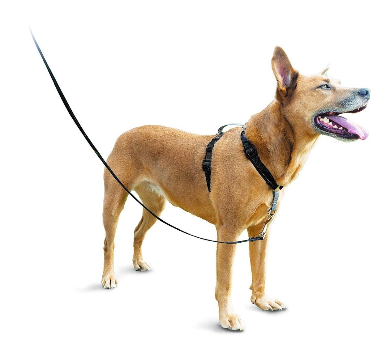 PetSafe（ペットセーフ）犬用ハーネス 3in1ハーネス ブラック Mサイズ