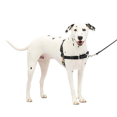 PetSafe イージーウォークハーネス (ML, ブラック＆シルバー)