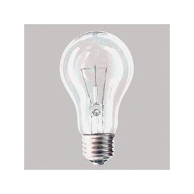 1箱 パナソニック Panasonic 長寿命シリカ電球LW100V36WL2K 楽天市場】パナソニック 長寿命シリカ電球（一般電球） 40W形