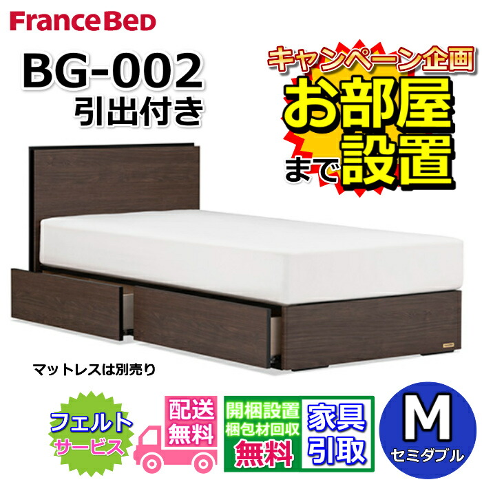 フランスベッド BG-002 DR 虚蝉ダブル【開梱精神的な統合据え付ける無料】抽き出し付き添い人 BG-002 M 納める付き添い人 片側すのこ遣りくち