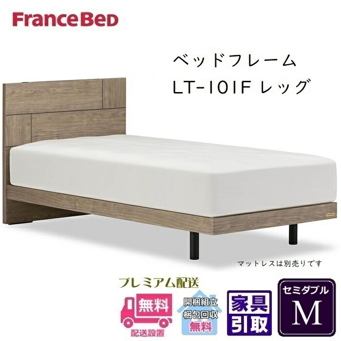 フランスベッド フレーム LT-101F レッグタイプ【開梱組立設置無料】セミダブル 抗菌 脚付きベッドフレーム