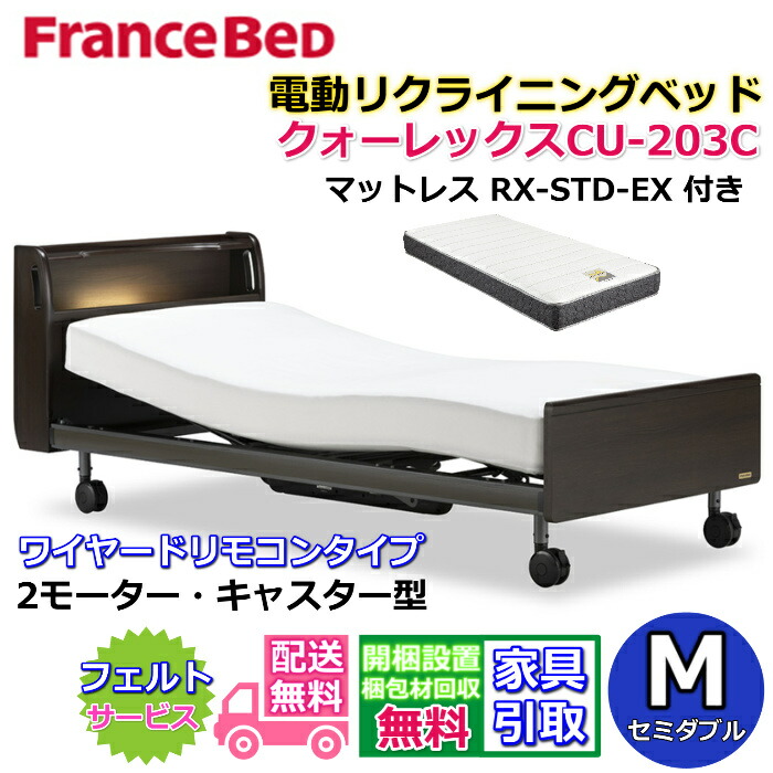 FRANCEBED 電動リクライニング介護ベッド 無料のフランスベッド