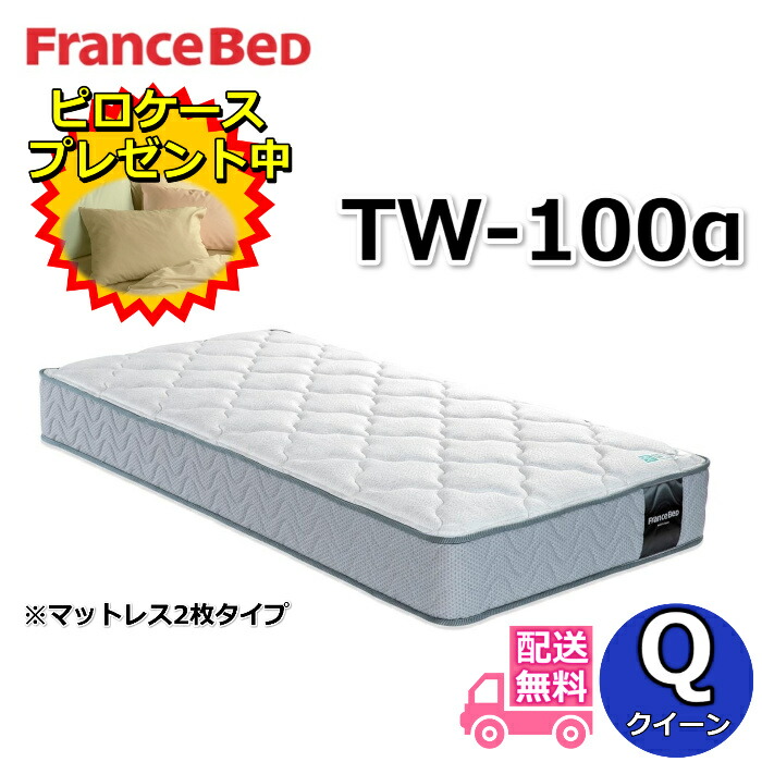 フランスベッド マットレス TW-100α画像明らかにする中【大特価＆ピロケースプレゼント】統治女王大きさ マットレス2枚印字機ZT020 ZT030あと継ぎ模範例しっかり手ごわい寝心地 TW100 SS 一般受け ツイン受け支える フランスベッド マットレス
