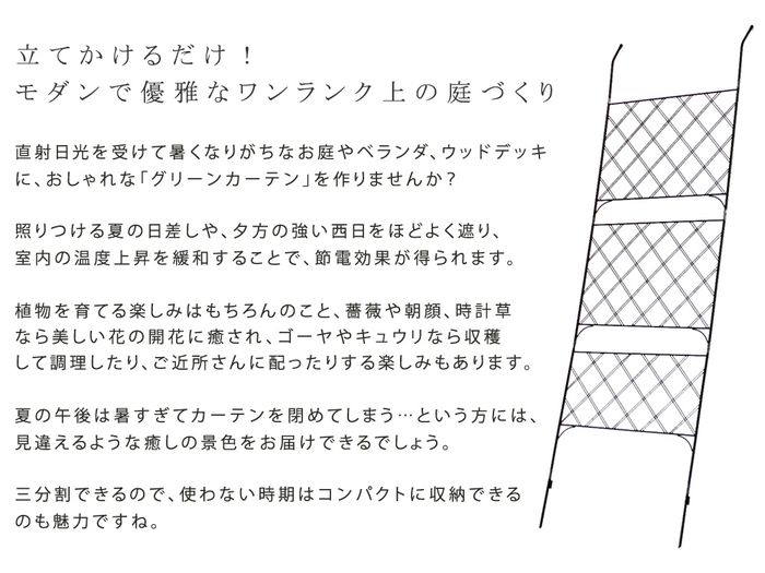 グリーンカーテン アイアン製 アーガイル フェンス ガーデニング 日差し除け 目隠し トレリス