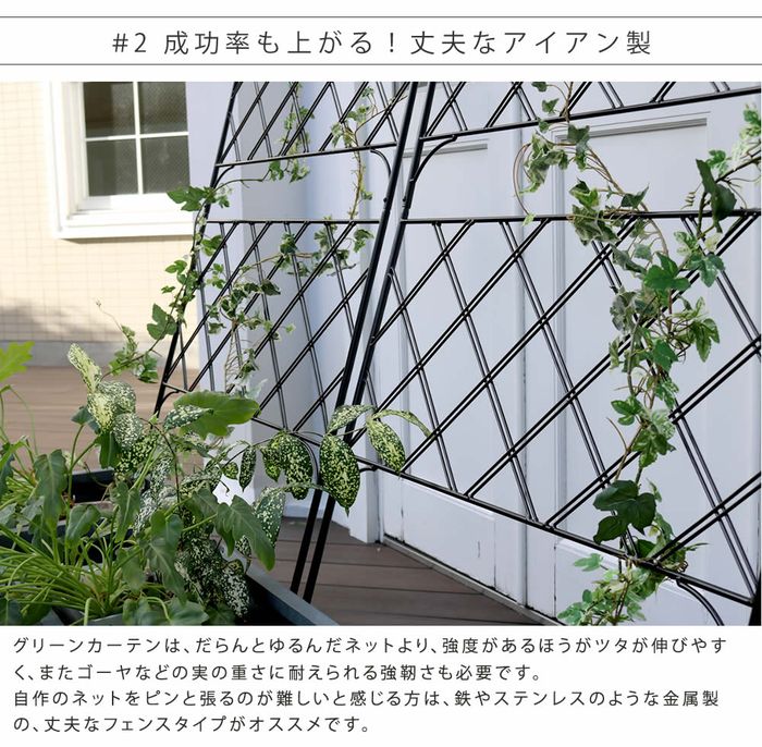 グリーンカーテン アイアン製 トレリス 目隠し 日差し除け フェンス アーガイル ガーデニング