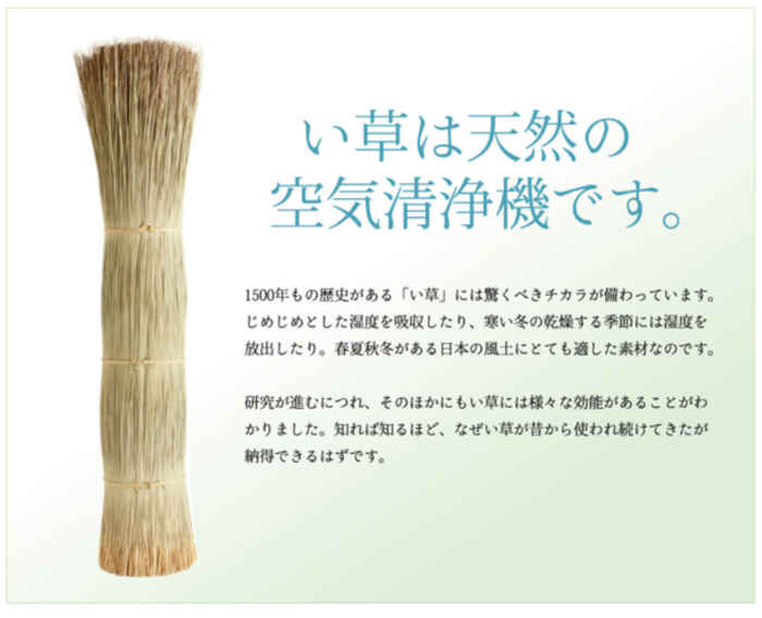 い草 花ござ マット カーペット 江戸間3畳 消臭 九州産い草使用 調湿 ござ 抗菌防臭 約174 261cm ラグ