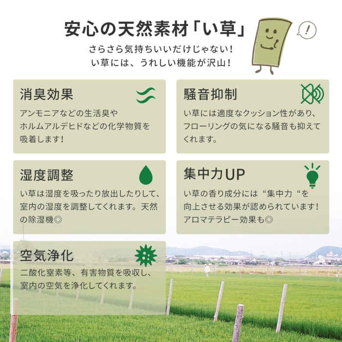 い草 上敷き カーペット ハサミで切って使える 本間3畳 敷き詰めタイプ 191 286cm フリーカット い草 上敷き カーペット ハサミで切って使える 本間3畳 敷き詰めタイプ 191 286cm フリーカット