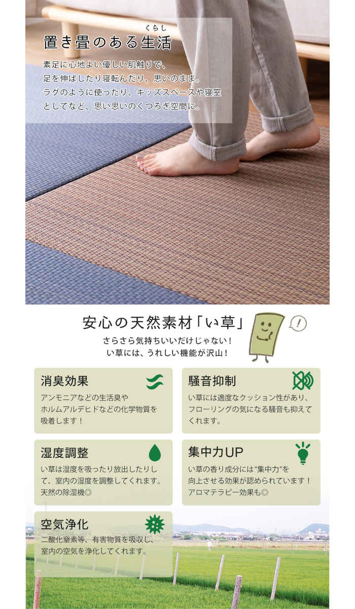 さんのごろ】 生活 雑貨 おしゃれ アジアンテイストの軽量置き畳 南風 ブラウン 約82×82×2.5cm 159054901 お得 な 送料無料  人気：創造生活館 なめらかな - shineray.com.br