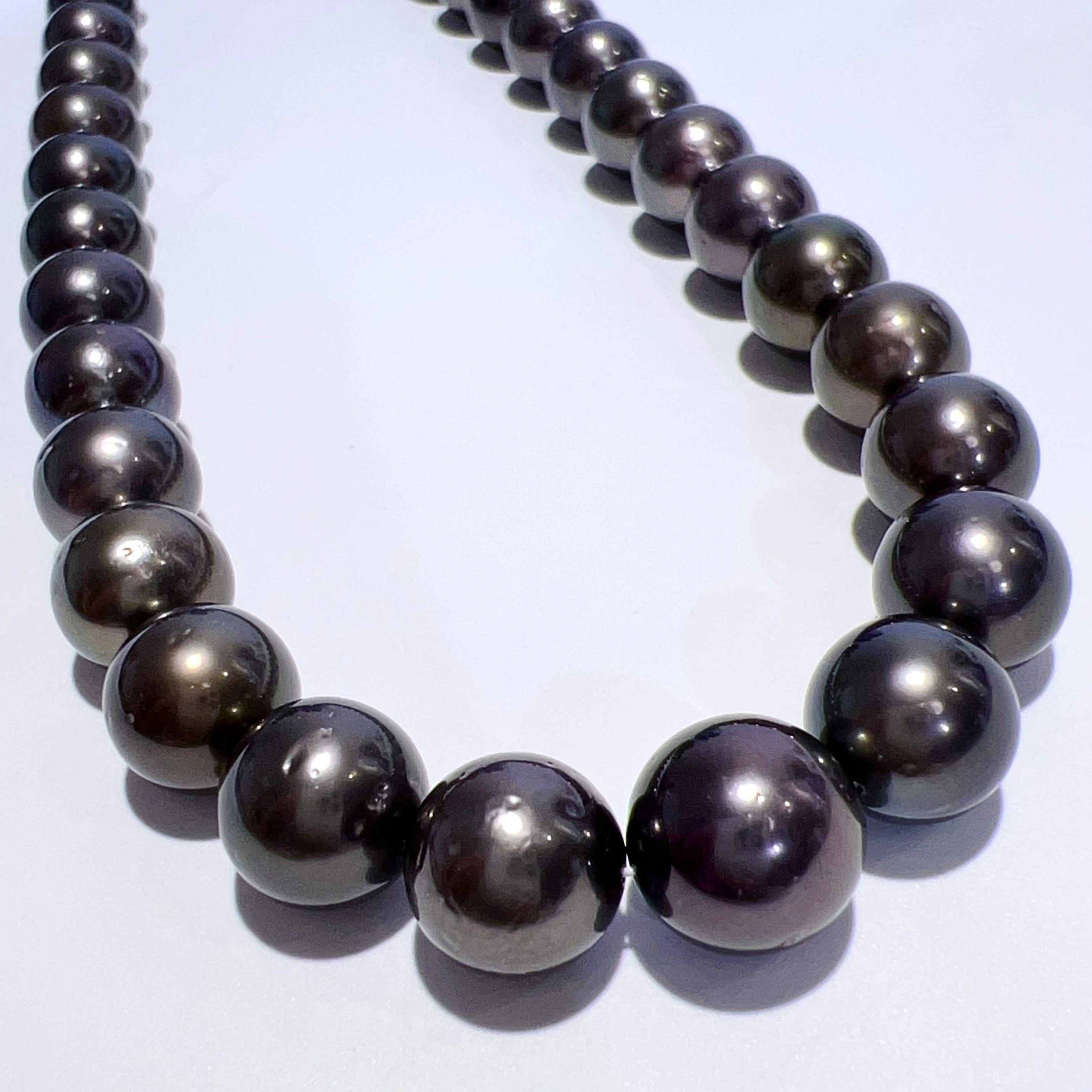 SV 黒蝶 タヒチ ブラック パール ネックレス 48cm 鑑別書 未使用品 楽天市場】SV 天然 黒蝶 タヒチ ブラック パール ネックレス 48cm BP8